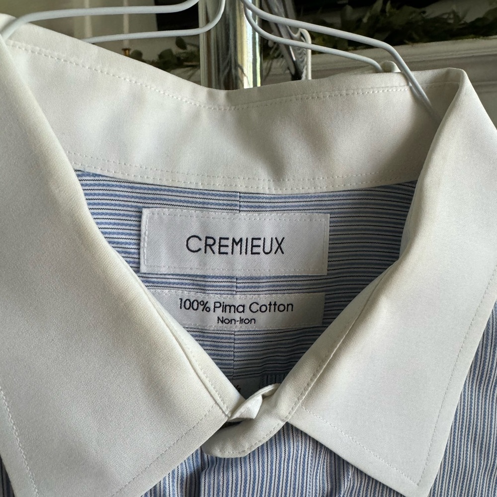 Daniel Cremieux Blue and White Striped Dress Shirt